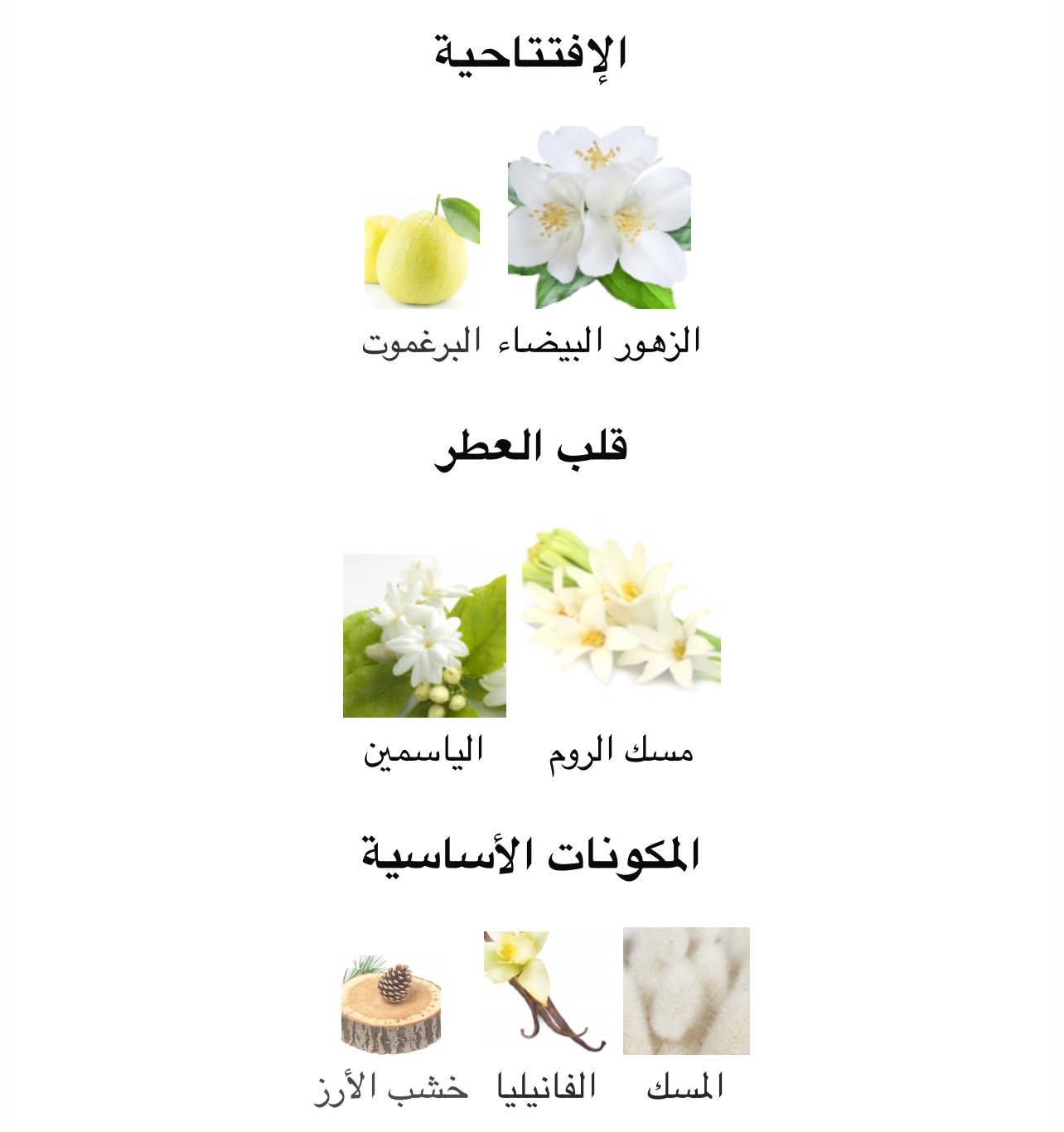 صورة المنتج 3