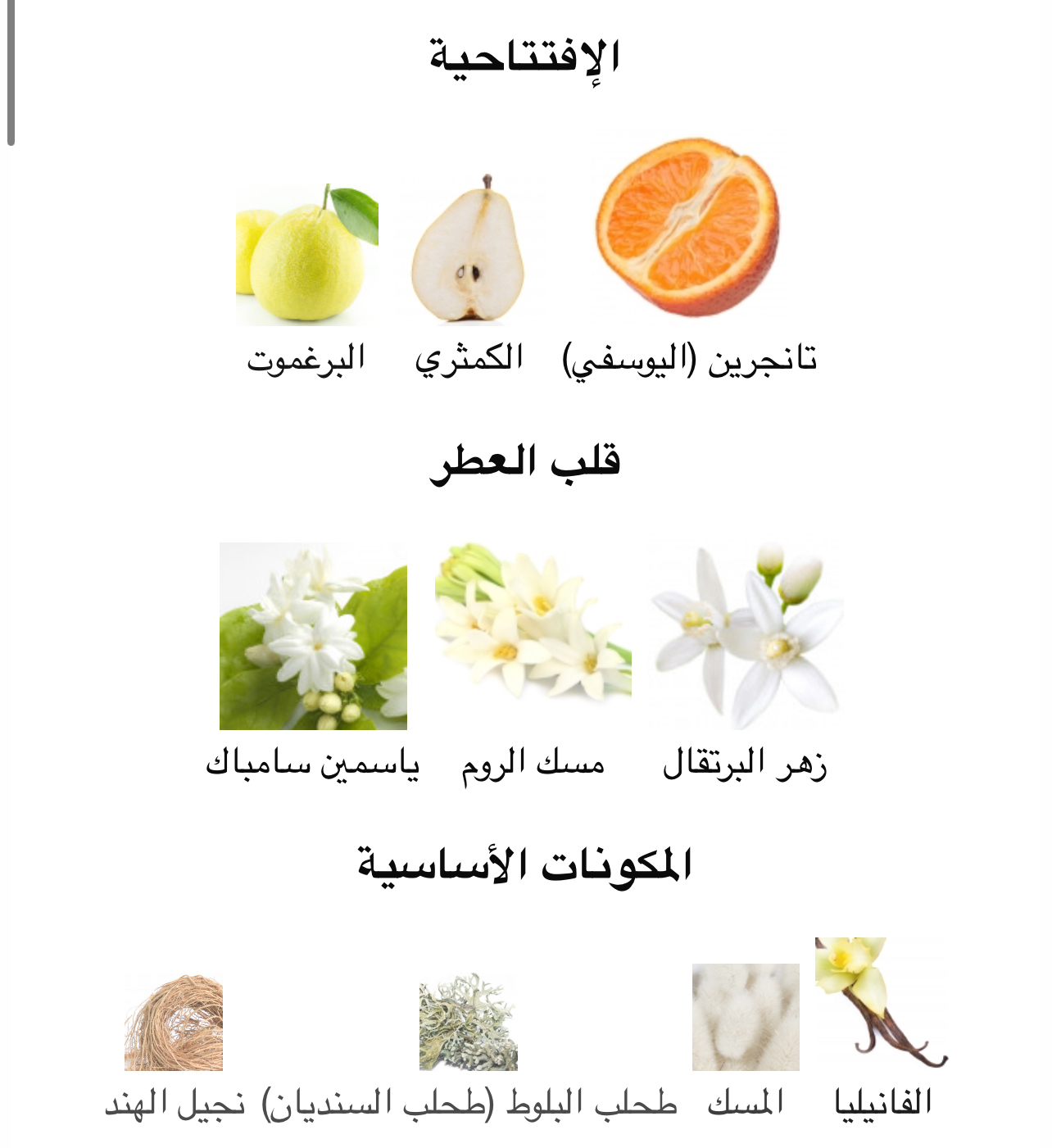 صورة المنتج 5